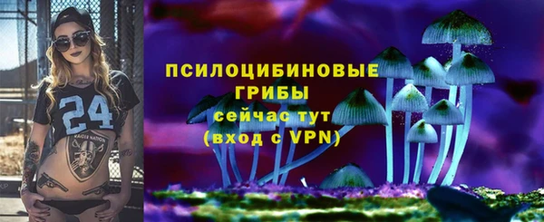 ПСИЛОЦИБИНОВЫЕ ГРИБЫ Верхнеуральск